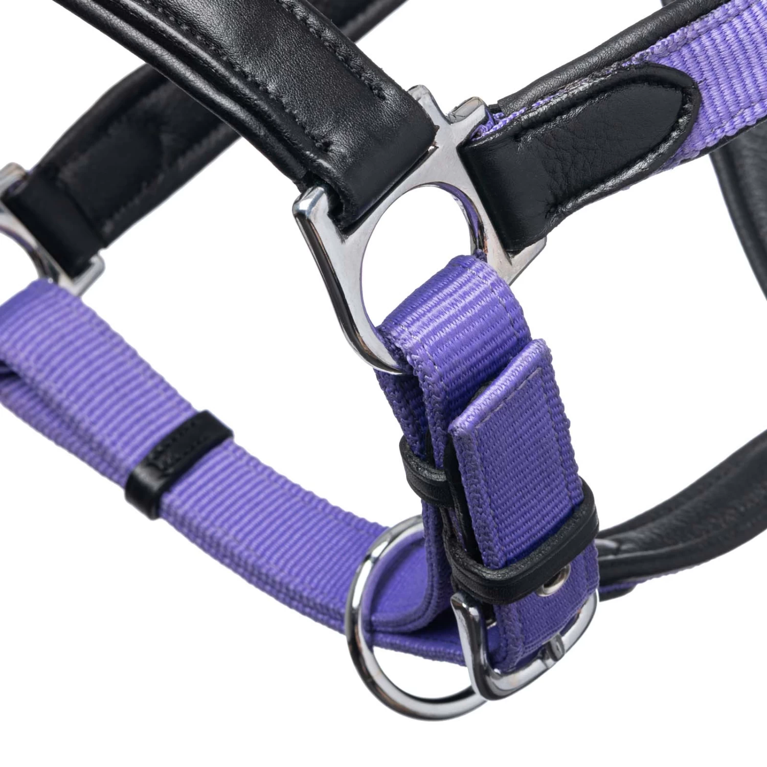 Lemieux Capella Head Collars - Image 14