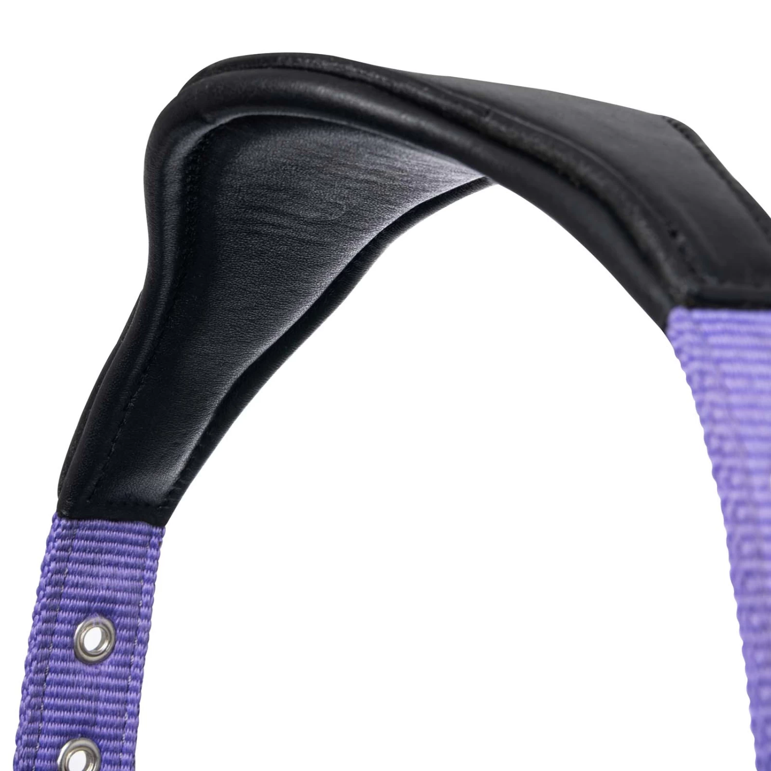 Lemieux Capella Head Collars - Image 16