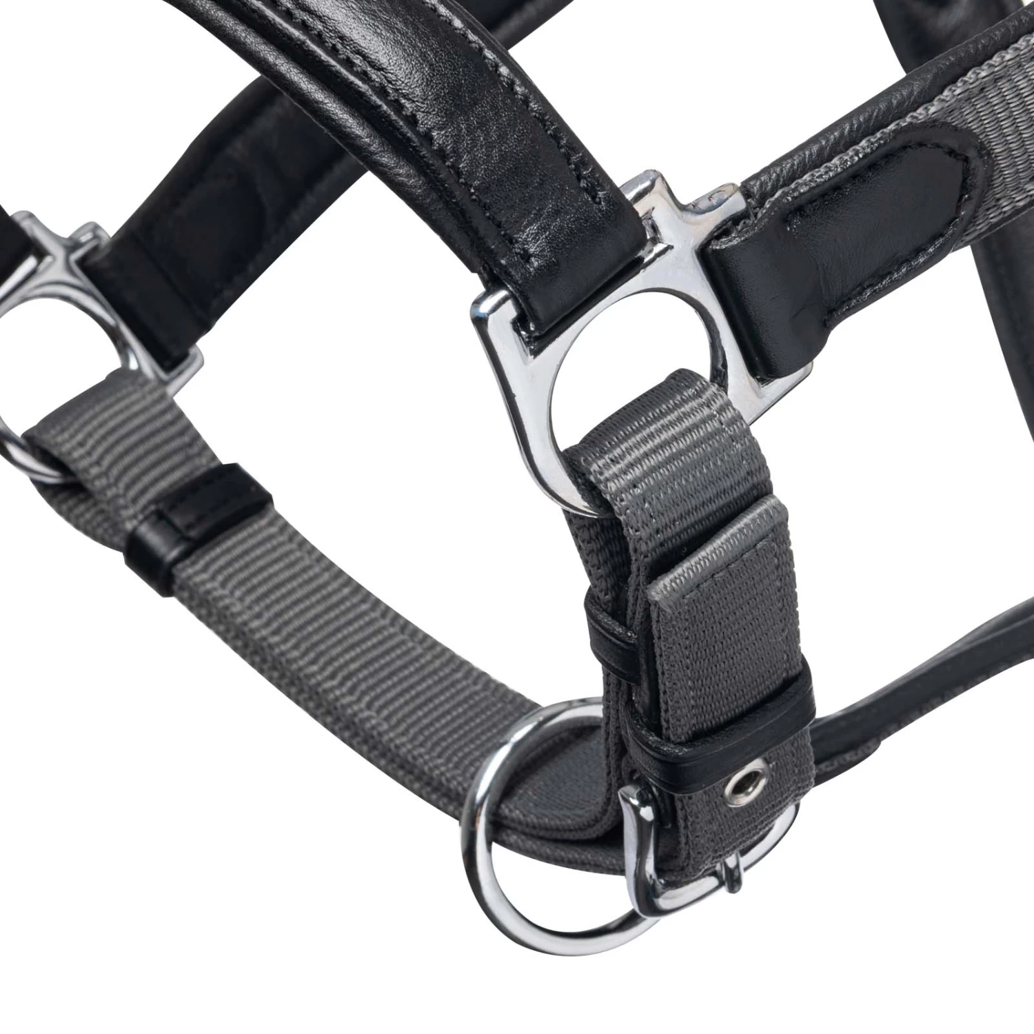 Lemieux Capella Head Collars - Image 6