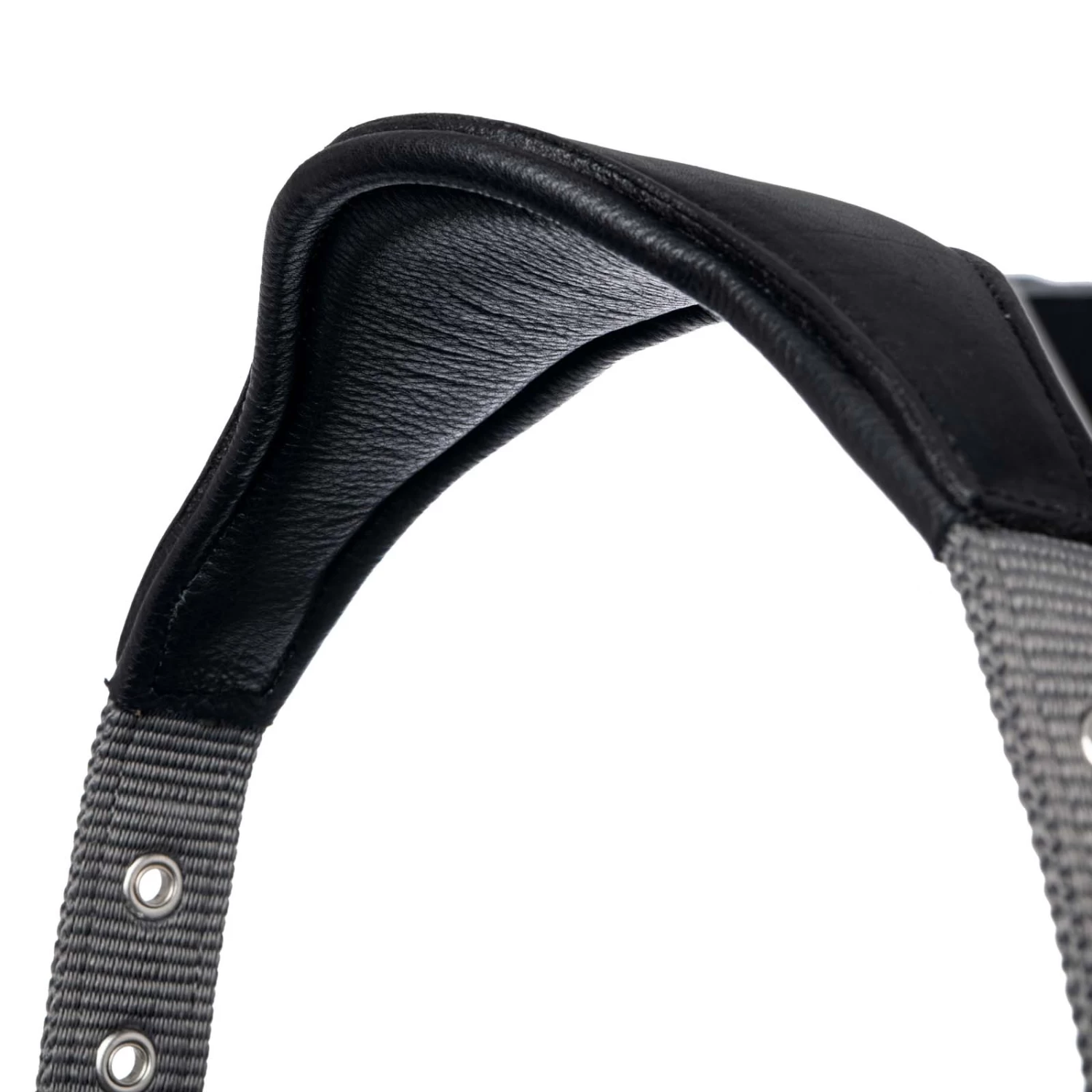 Lemieux Capella Head Collars - Image 9