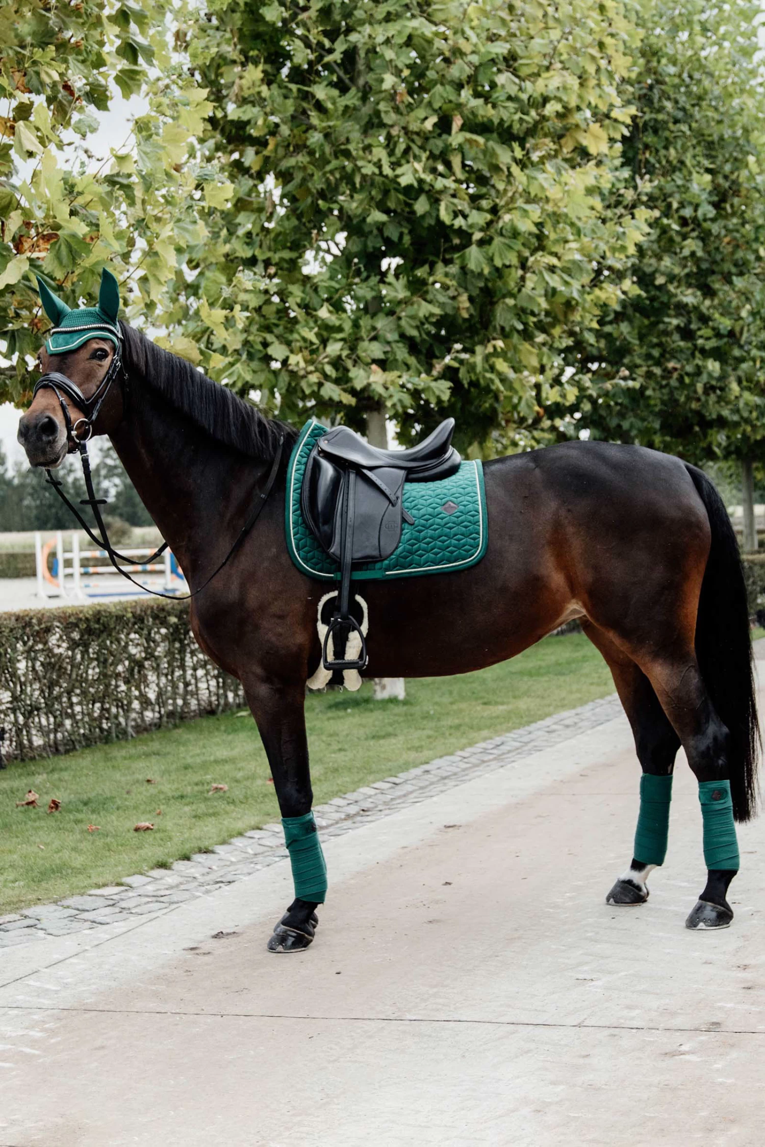 Kentucky Horsewear Saddle Pad Velvet Dressage - Image 15