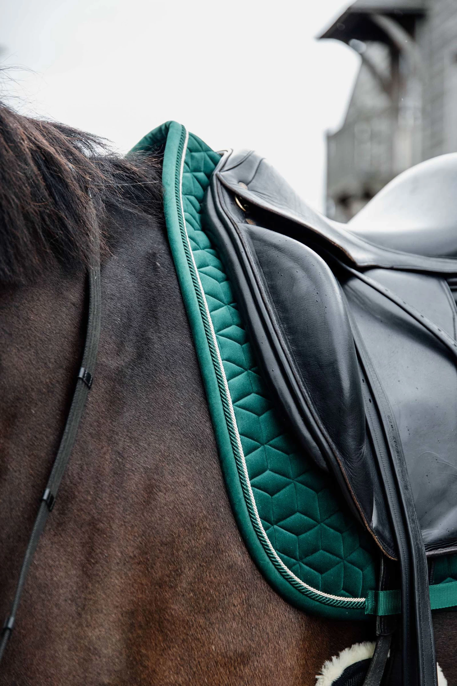 Kentucky Horsewear Saddle Pad Velvet Dressage - Image 16