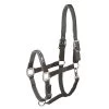 Schockemöhle Memphis Safety Halter