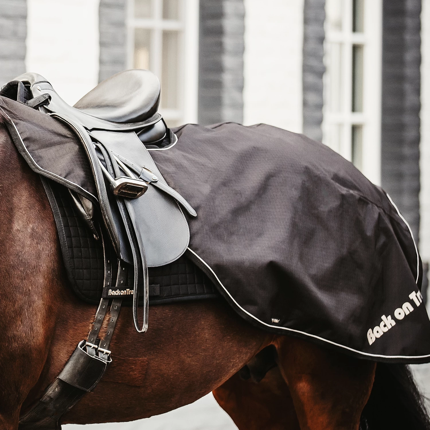 Back On Track Sammy Riding Rug, 50g - Image 4