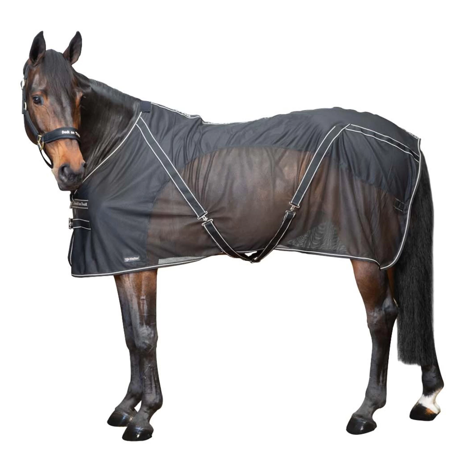 Back On Track Sienna Cooler