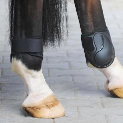 Kavalkade Fetlock Boots Compete