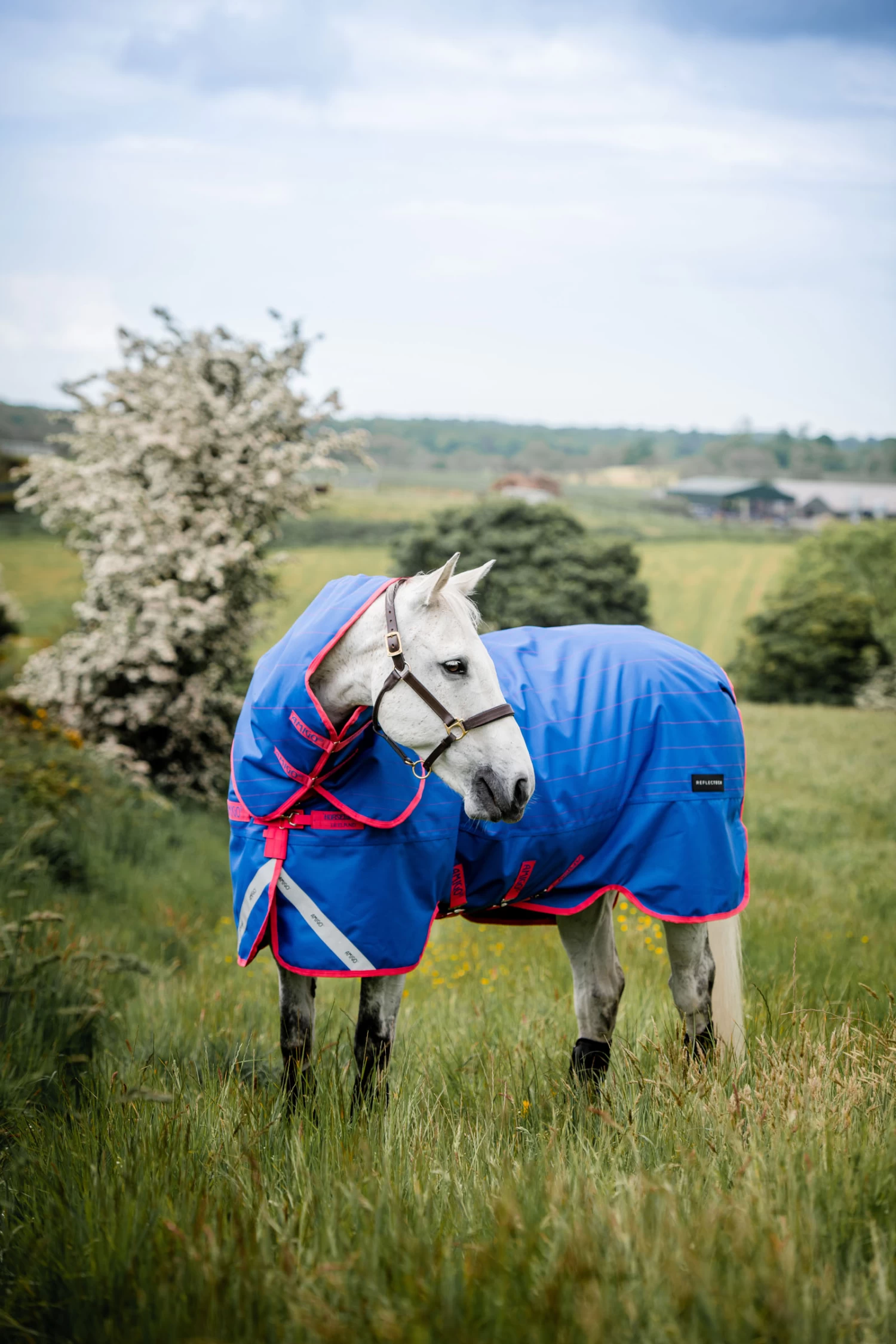 Horseware Amigo Bravo 12 Reflective Plus Turnout Rug With Detachable Neck, 250g - Image 6