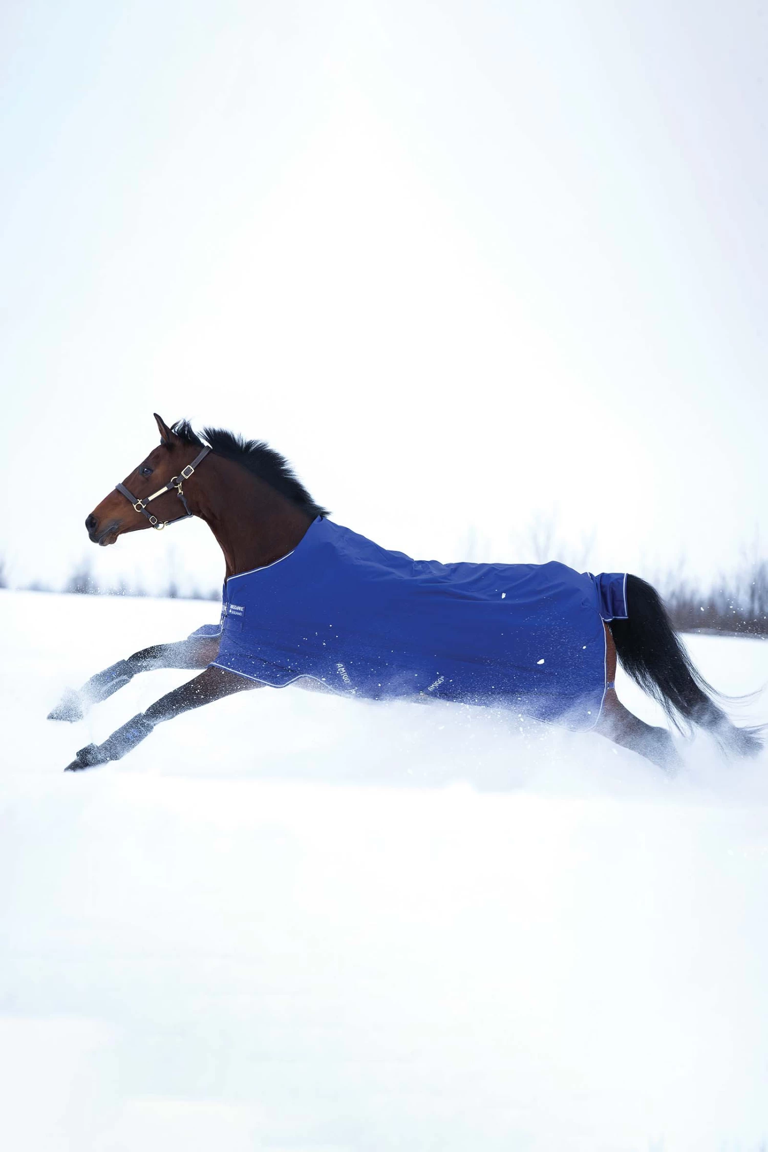 Horseware Amigo Hero 900 T/O Med Turnout Rug, 200g - Image 2
