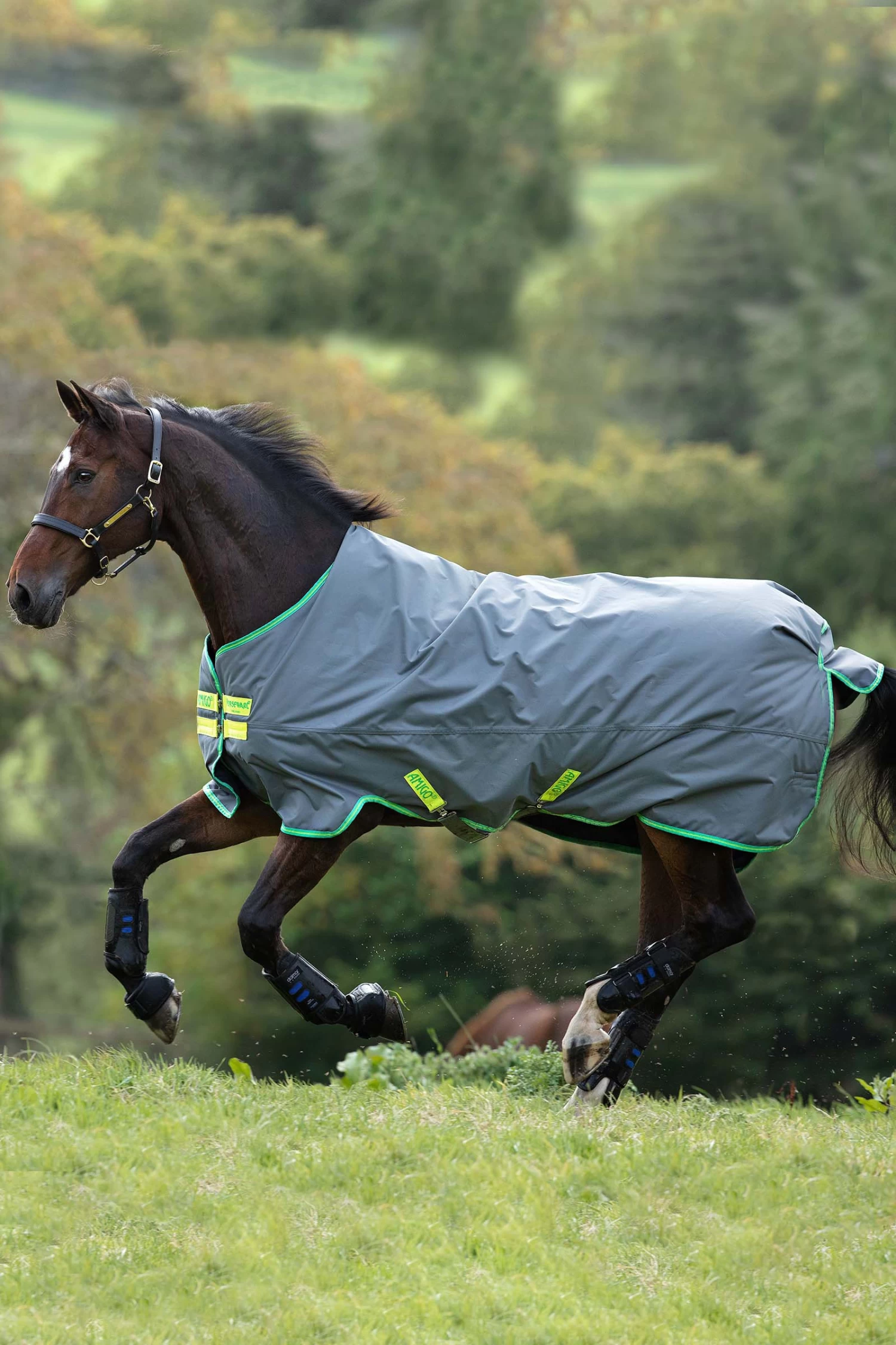 Horseware Amigo Hero 900 T/O Med Turnout Rug, 200g - Image 3
