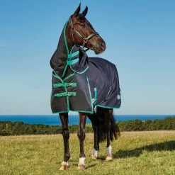 Weatherbeeta Green-Tec Turnout Rug With Detachable Neck, 50g