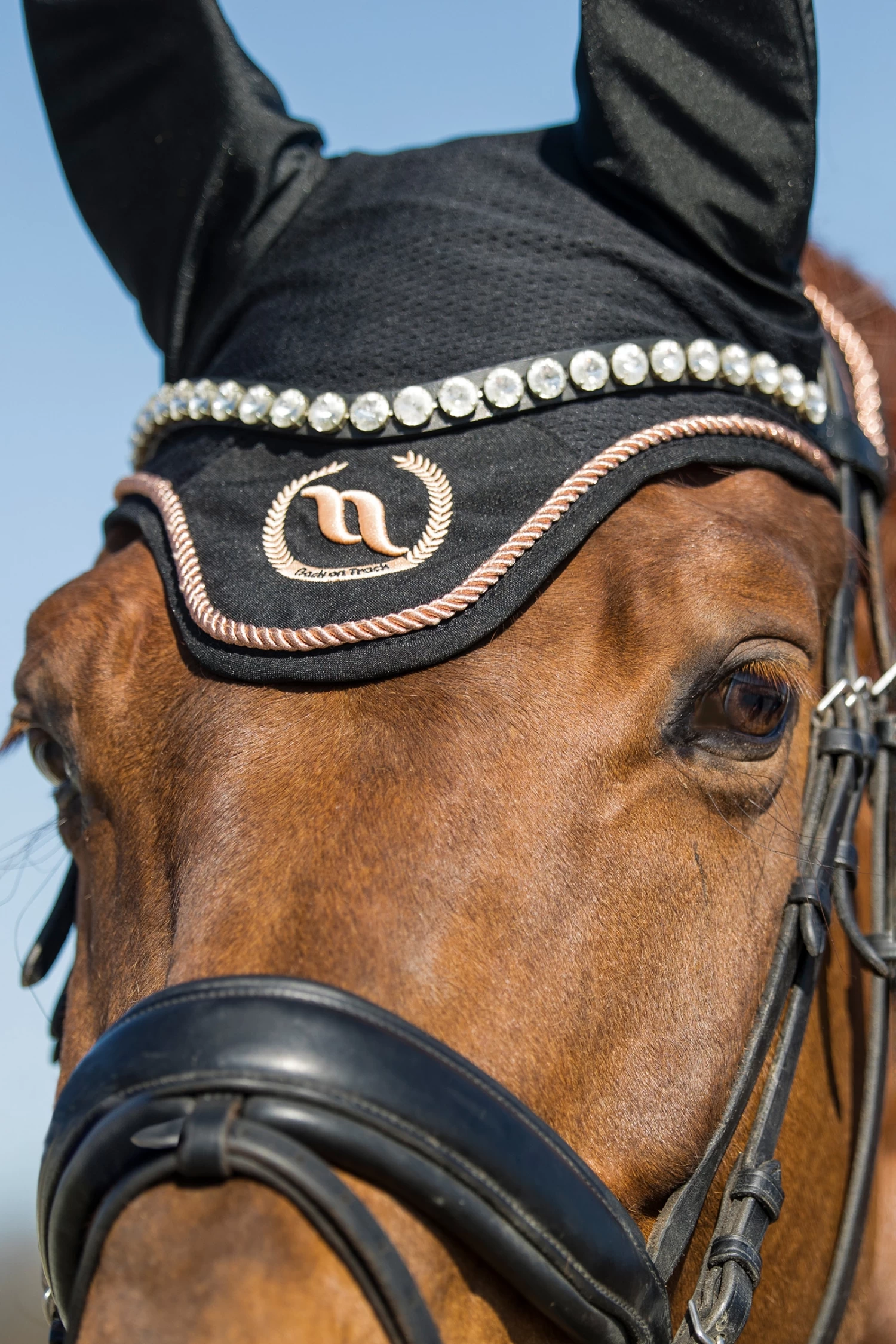 Back On Track Haze Collection Bonnet - Image 9