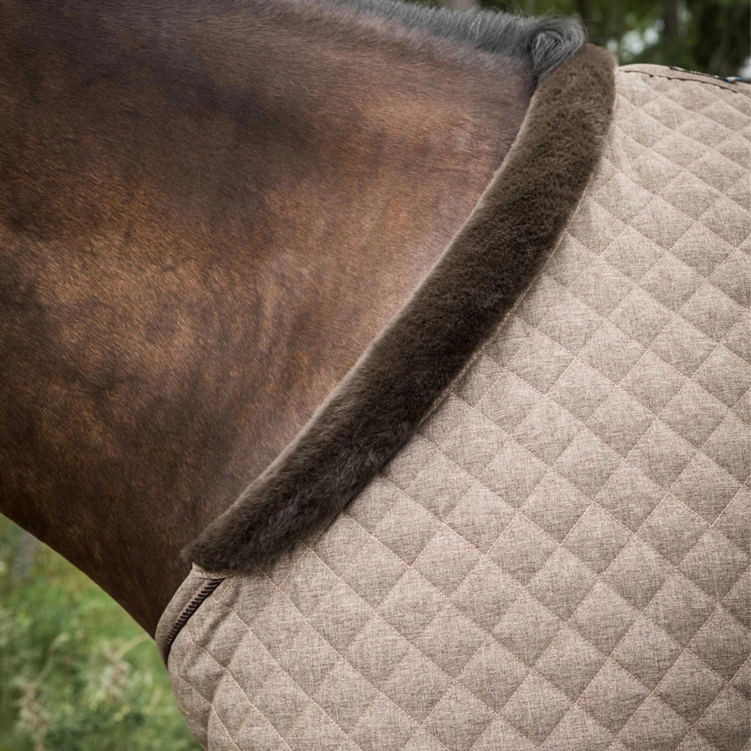 Back On Track Haze Collection Quilted Stable Rug, 200g (125-135cm) - Image 4