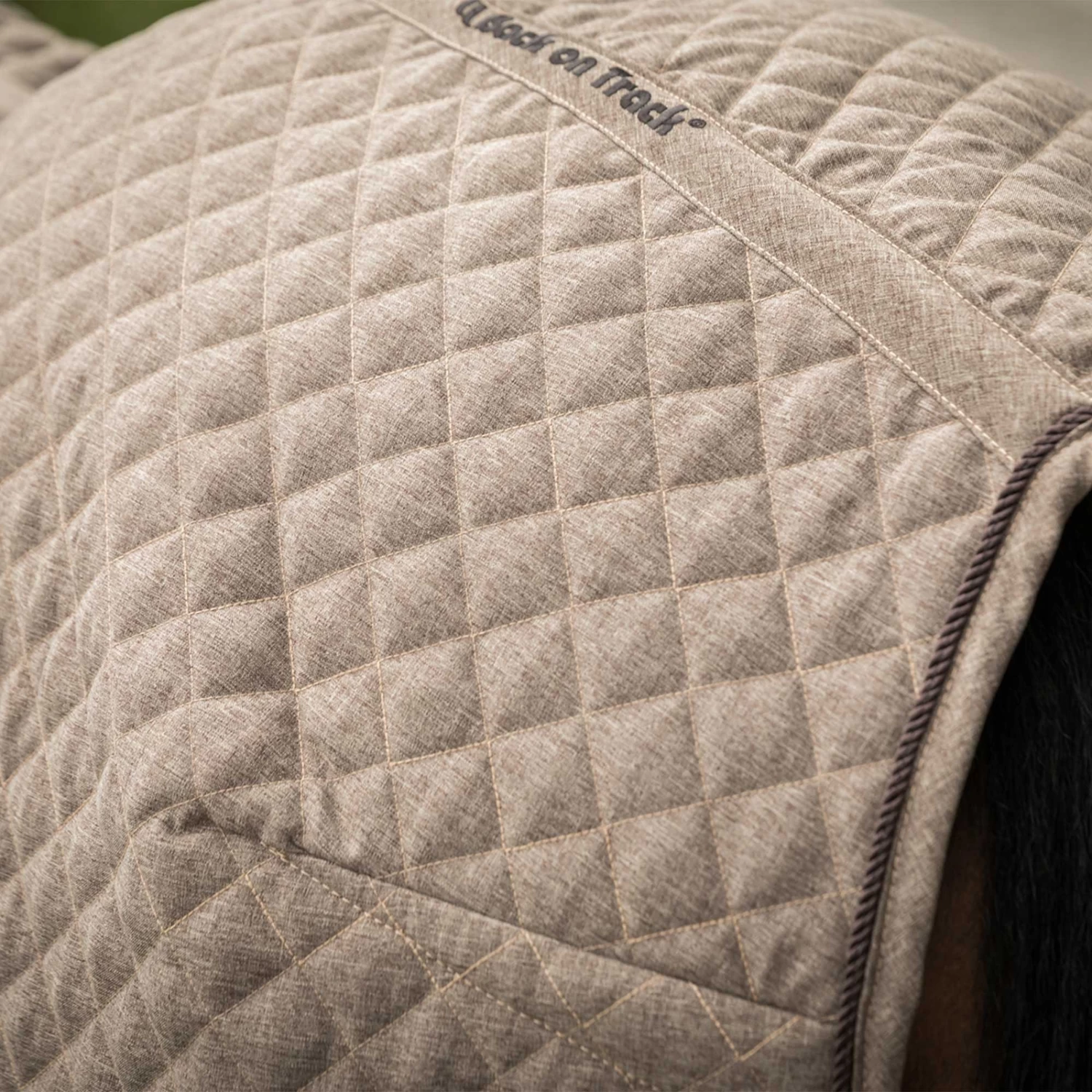 Back On Track Haze Collection Quilted Stable Rug, 200g (125-135cm) - Image 7