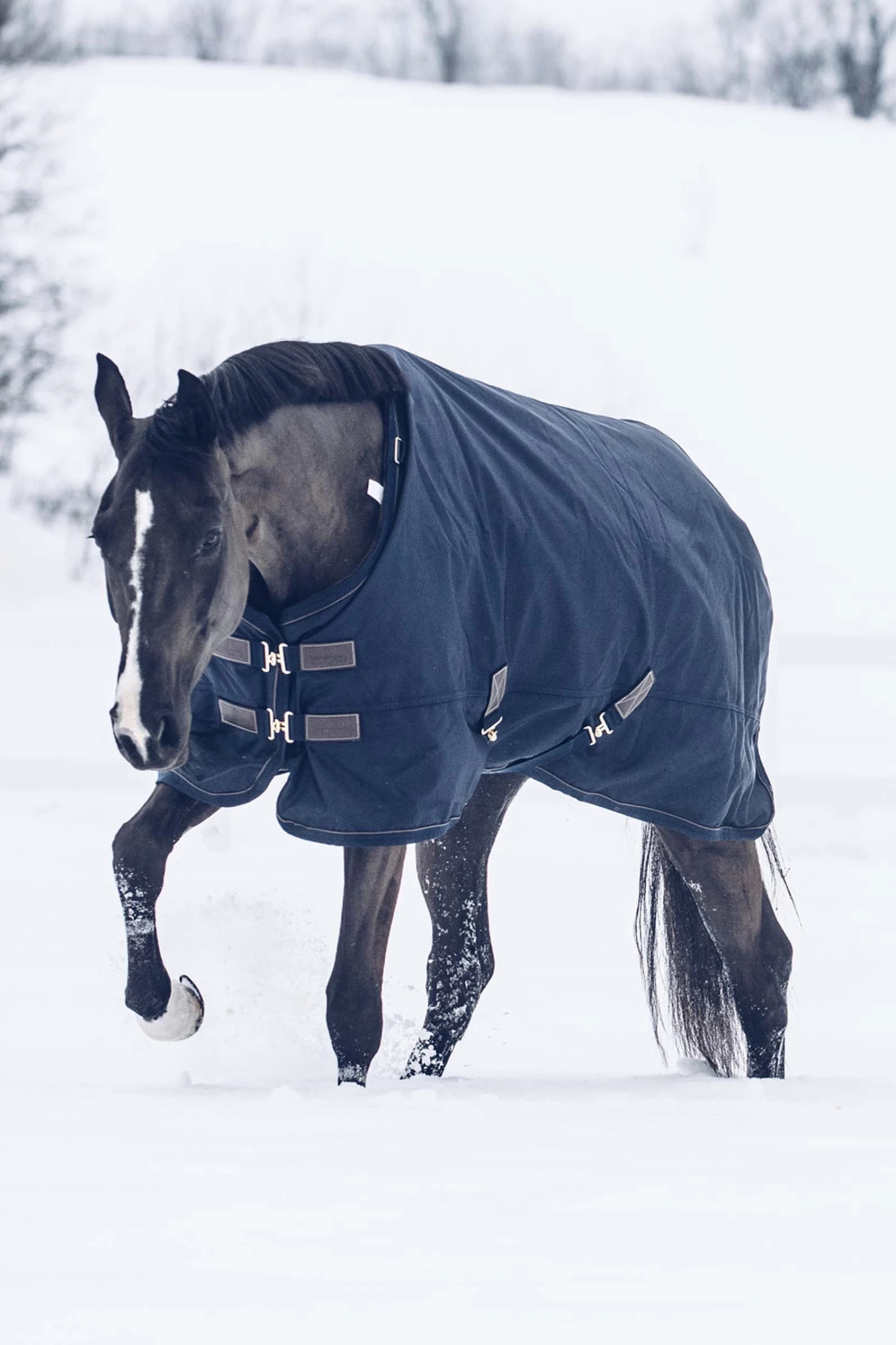 Kentucky Horsewear Turnout Rug All Weather Waterproof Classic, 300g - Image 5