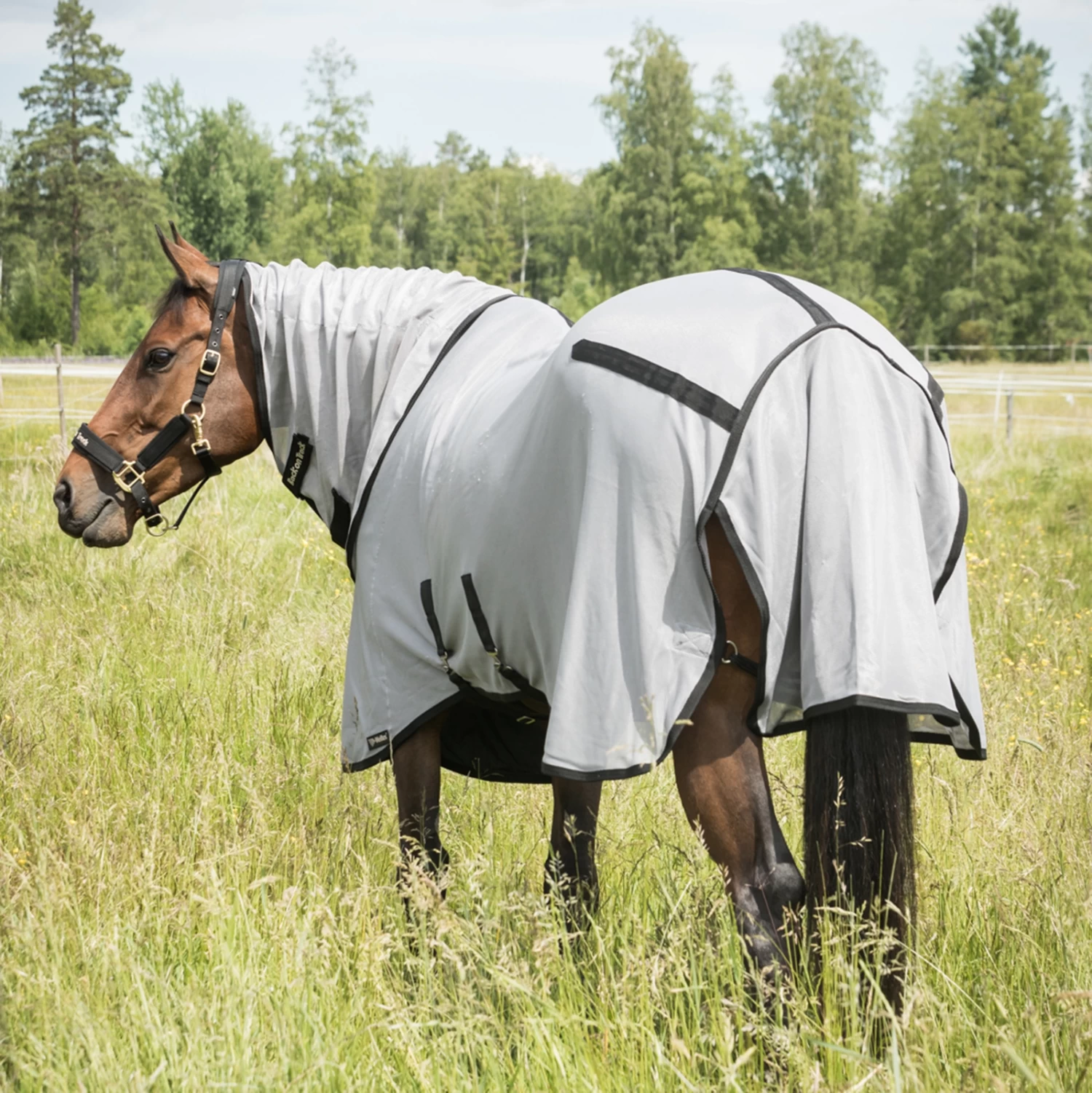 Back On Track Butzer Fly Rug With Hood - Image 3