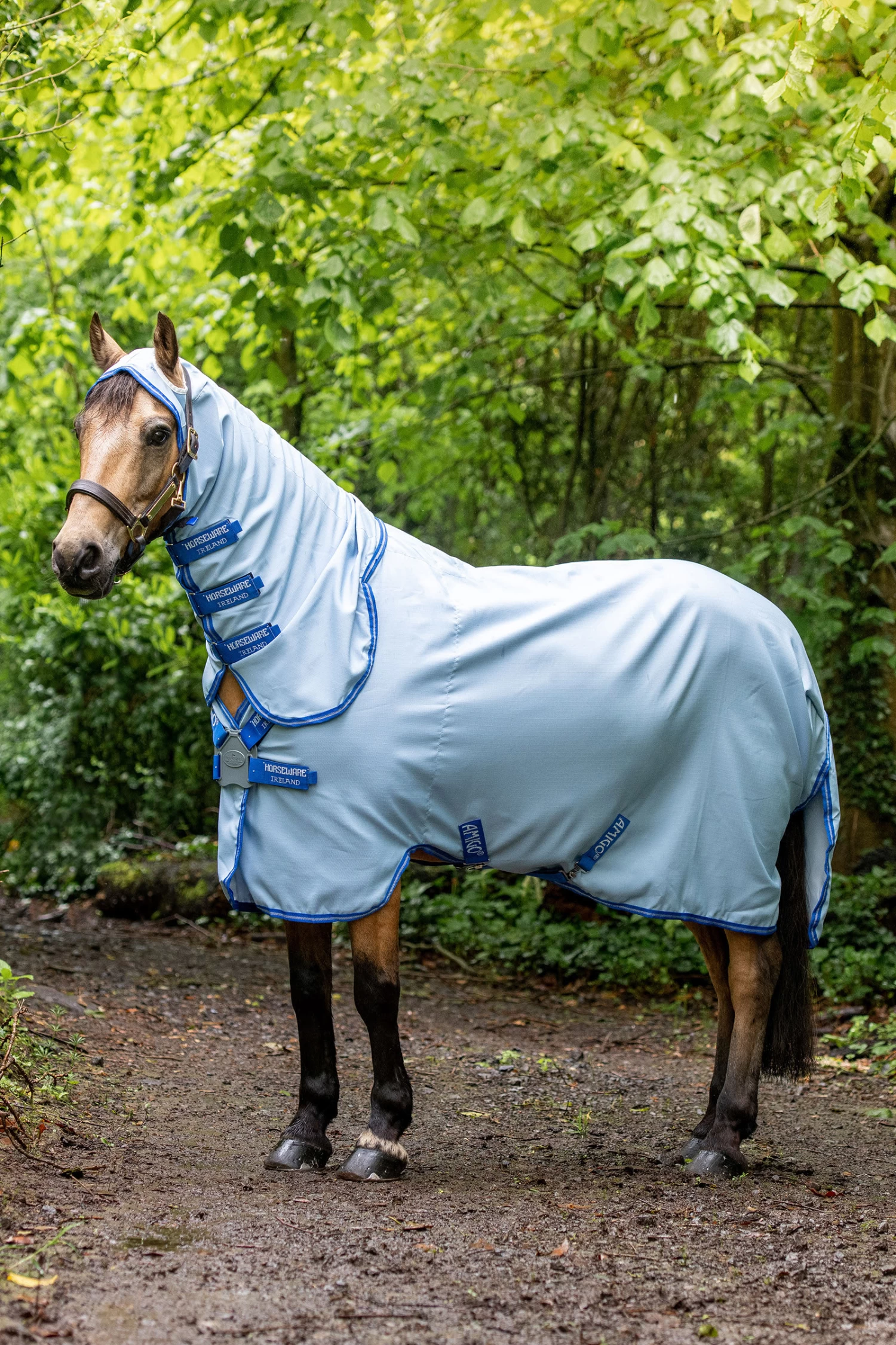 Horseware Amigo Hoody Pony Sweet Itch Rug With Fixed Neck