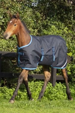 Horseware Amigo Ripstop Foal Rug, 200g