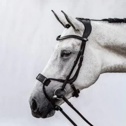 PS Of Sweden High Jump Bridle