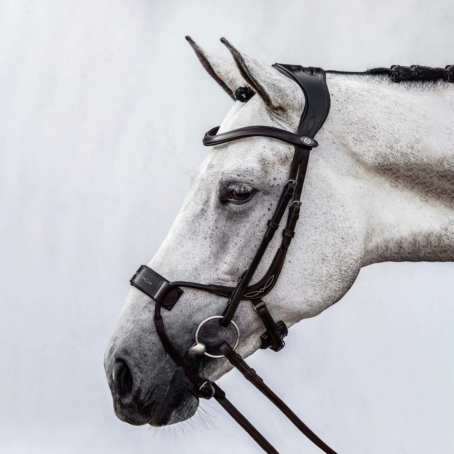PS Of Sweden High Jump Bridle