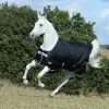 Bucas Anniversary Light SD Turnout Rug, 0g