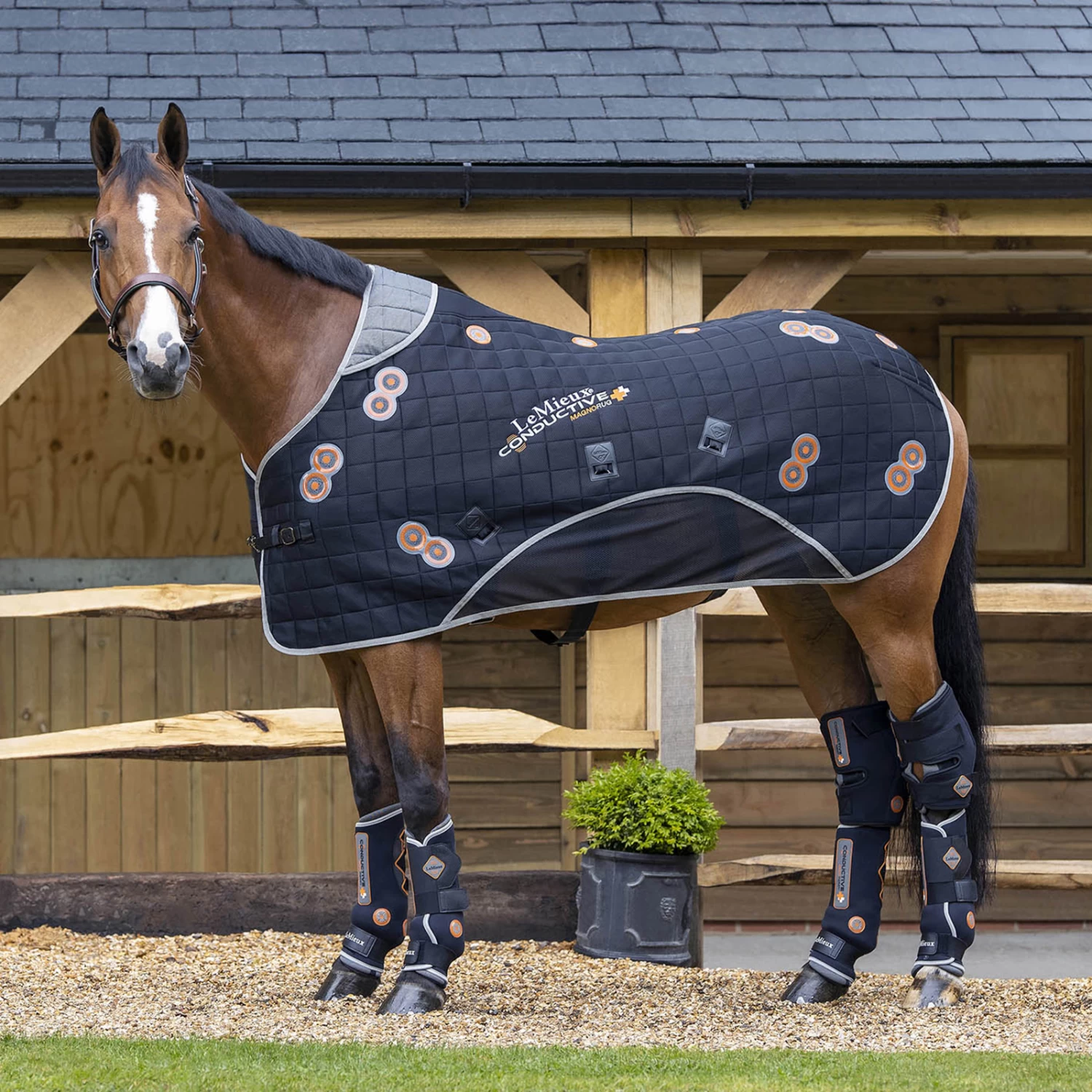 LeMieux Conductive MagnoRug - Image 2