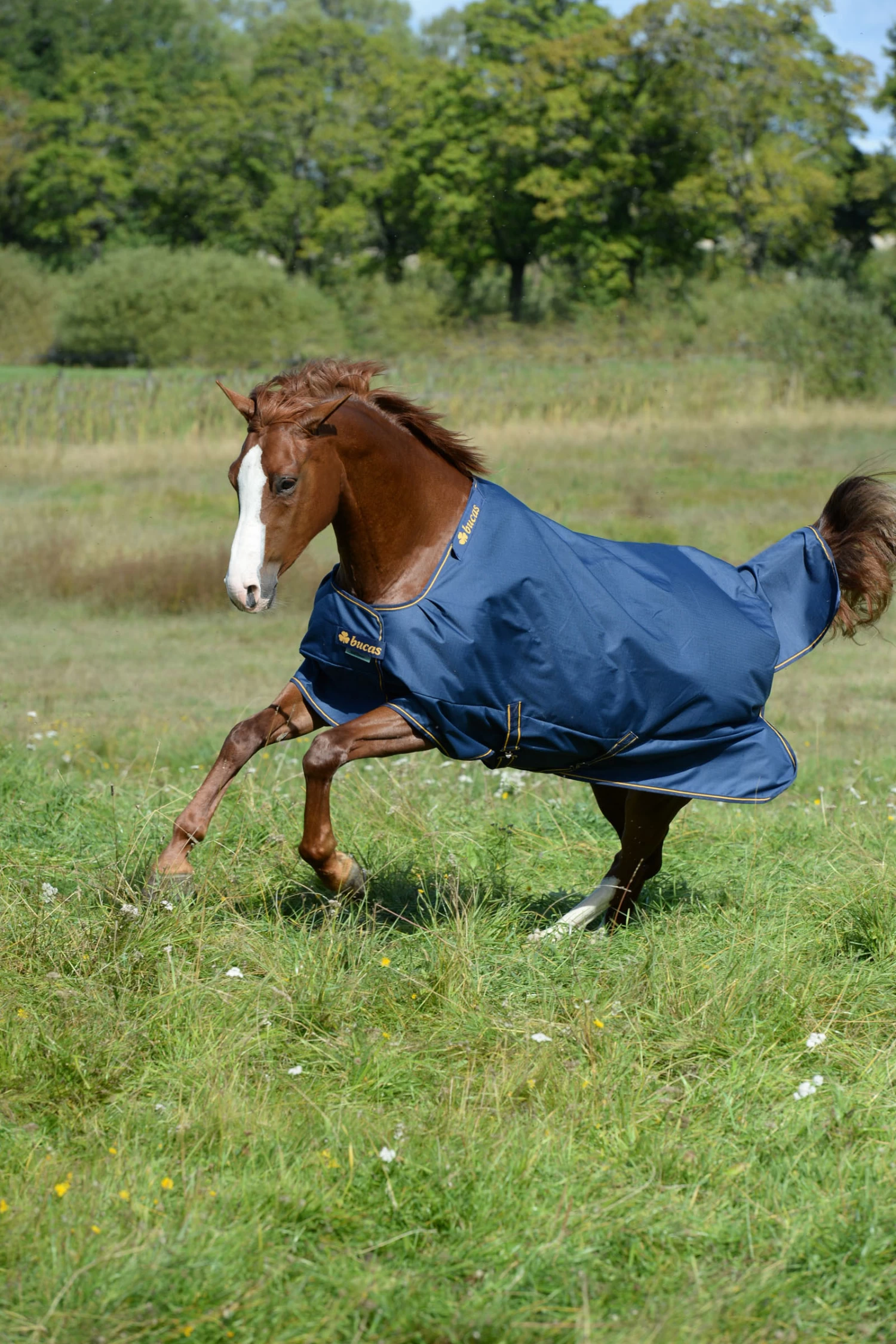 Bucas Irish Turnout 150g - Image 5