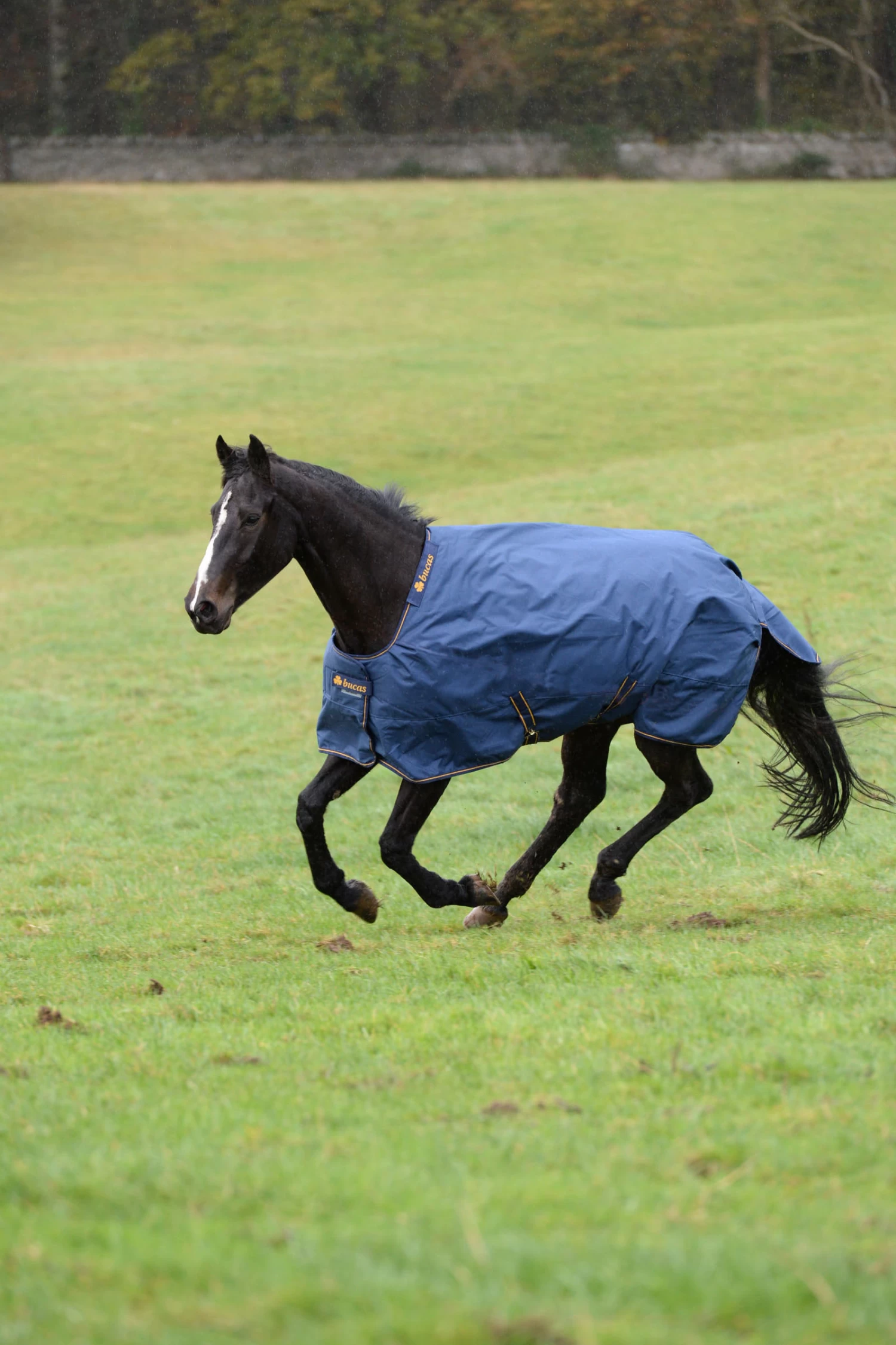 Bucas Irish Turnout 150g - Image 7