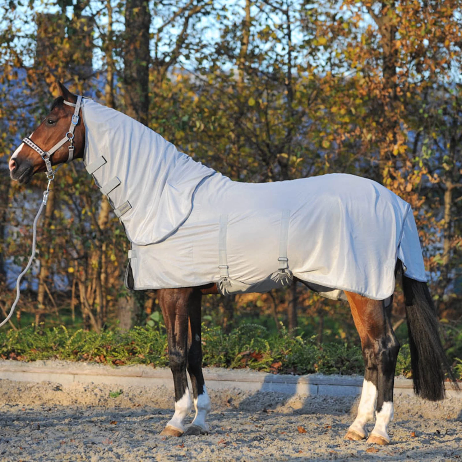 Kavalkade Fly Rug With Removable Neck - Image 2
