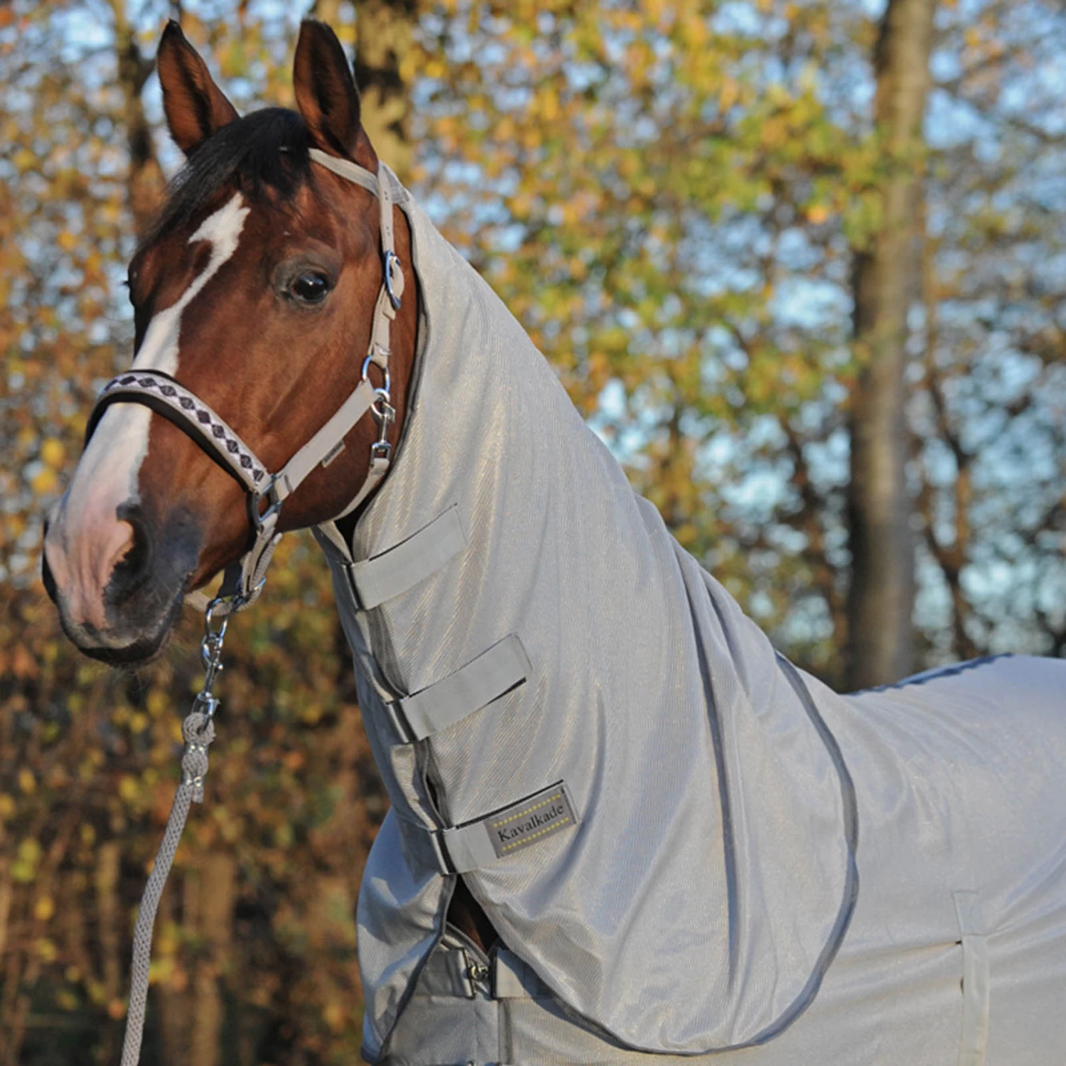 Kavalkade Fly Rug With Removable Neck - Image 3