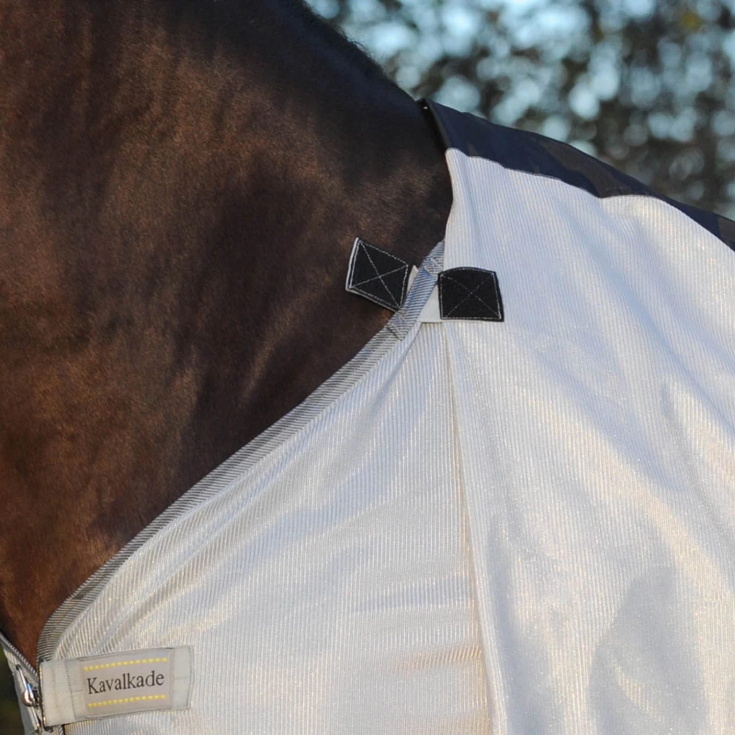 Kavalkade Fly Rug With Removable Neck - Image 4