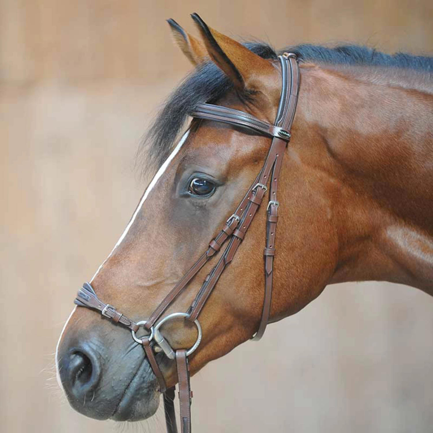 Kavalkade Levana Bridle - Image 3