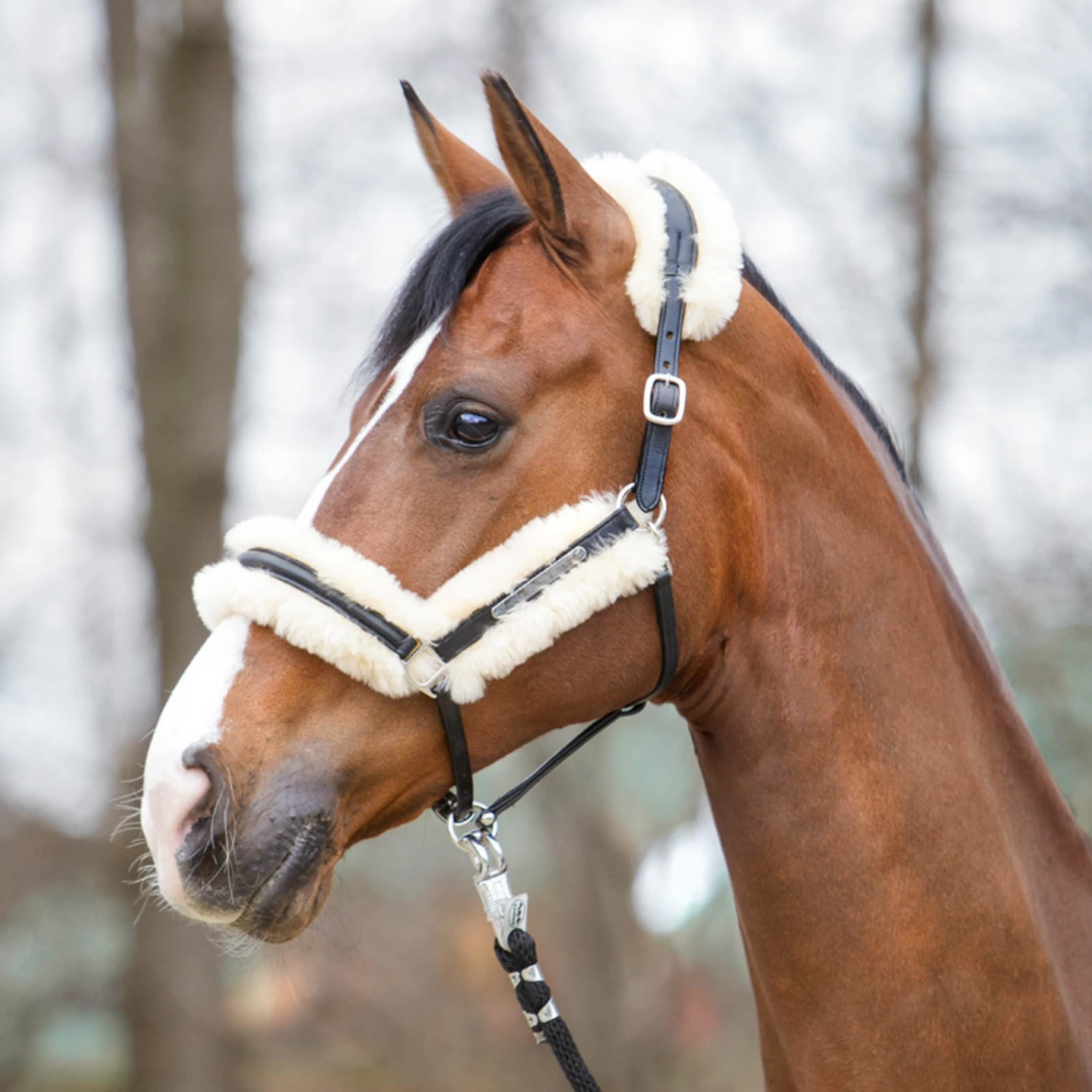 Kavalkade Marvellous Leather Halter With Sheepskin - Image 6