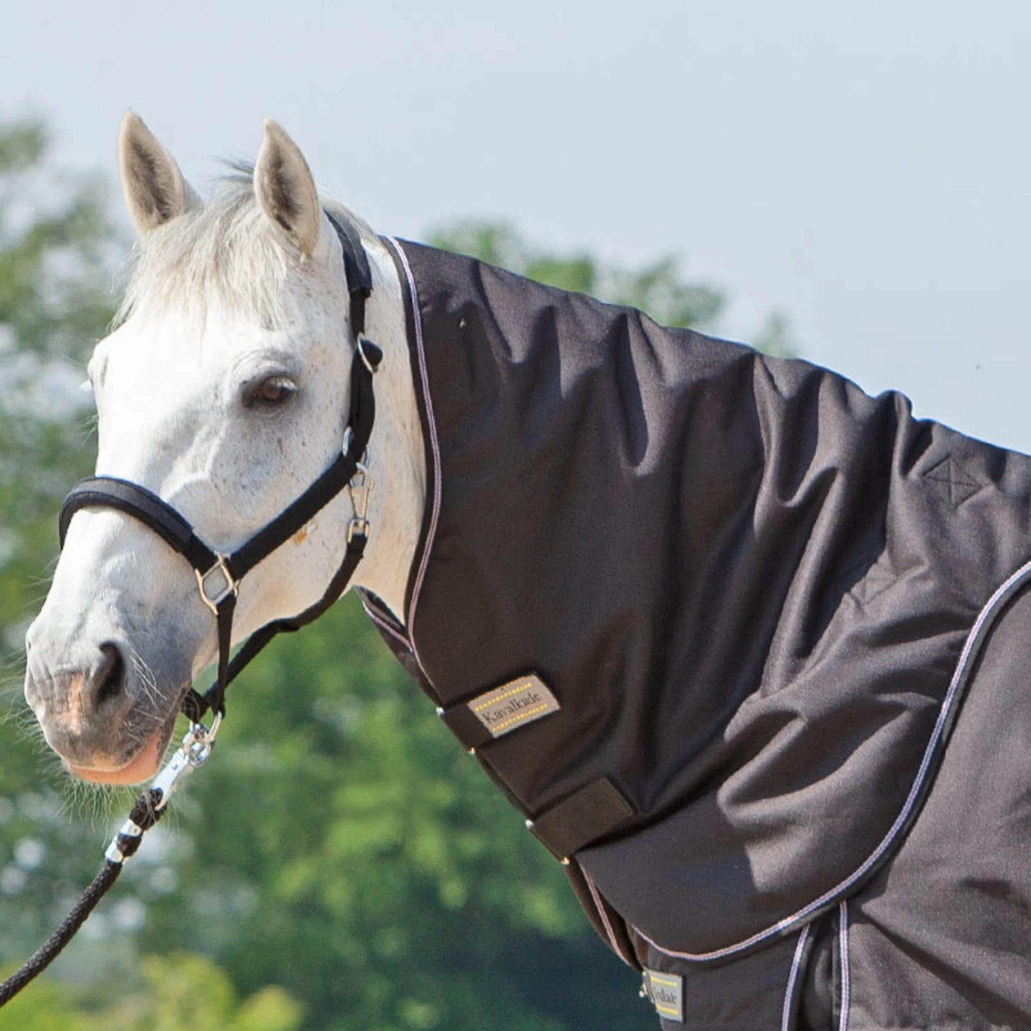 Kavalkade Neck For Alaska IV, 100g