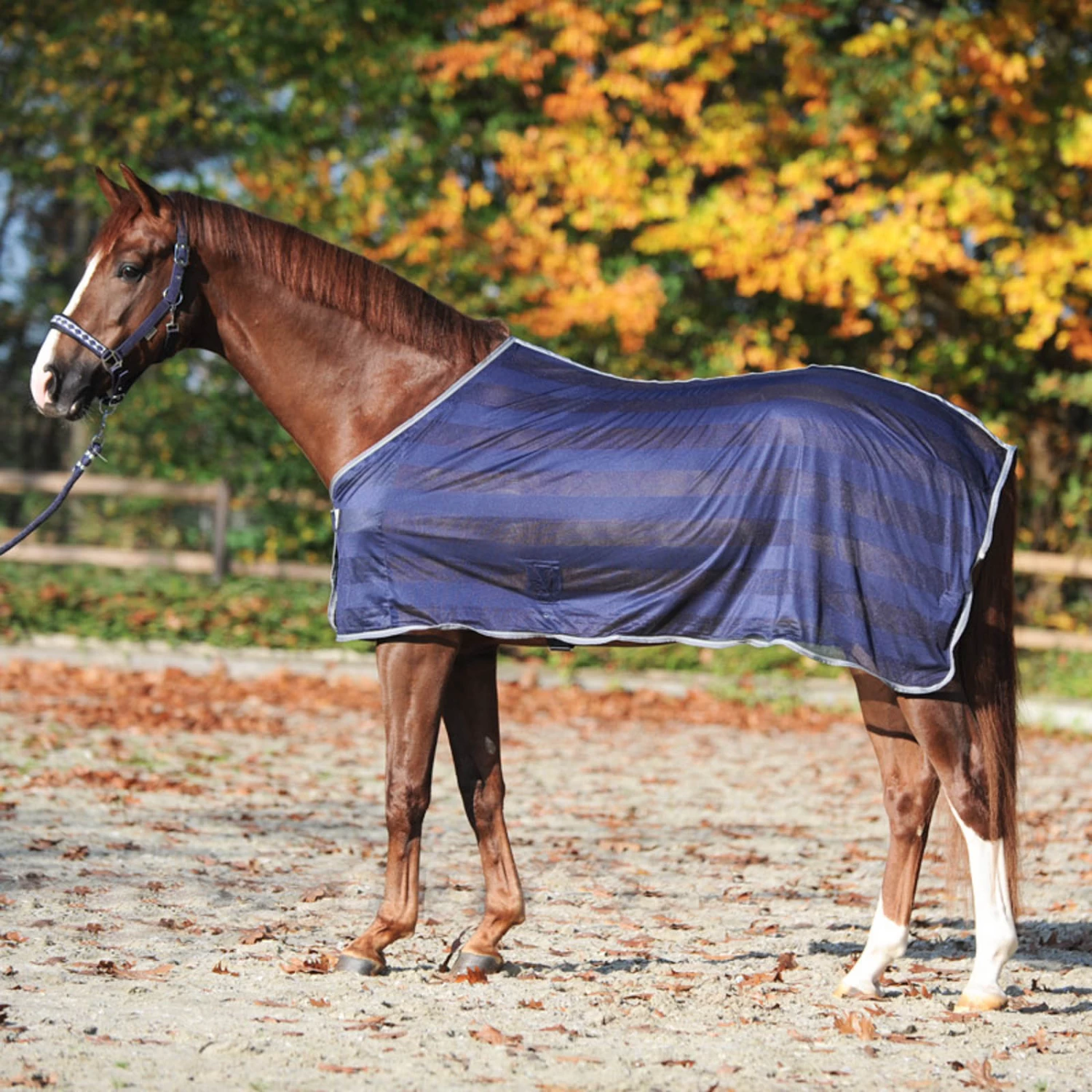 Kavalkade Stripe Fly Rug