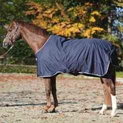 Kavalkade Winnipeg Turnout Rug, 200g