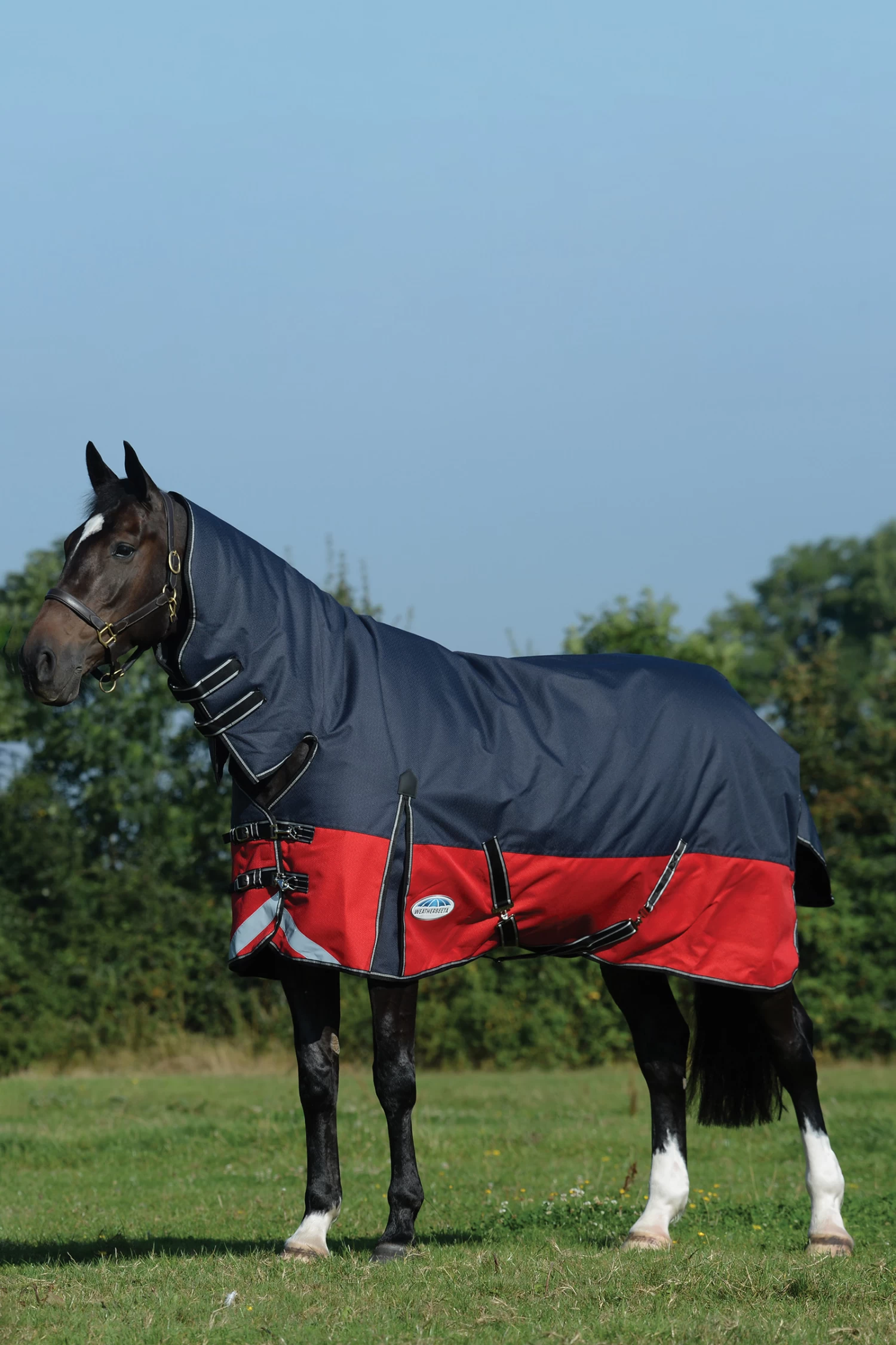 Weatherbeeta Comfitec Plus Dynamic II Combo Neck Turnout Rug, 100g - Image 4