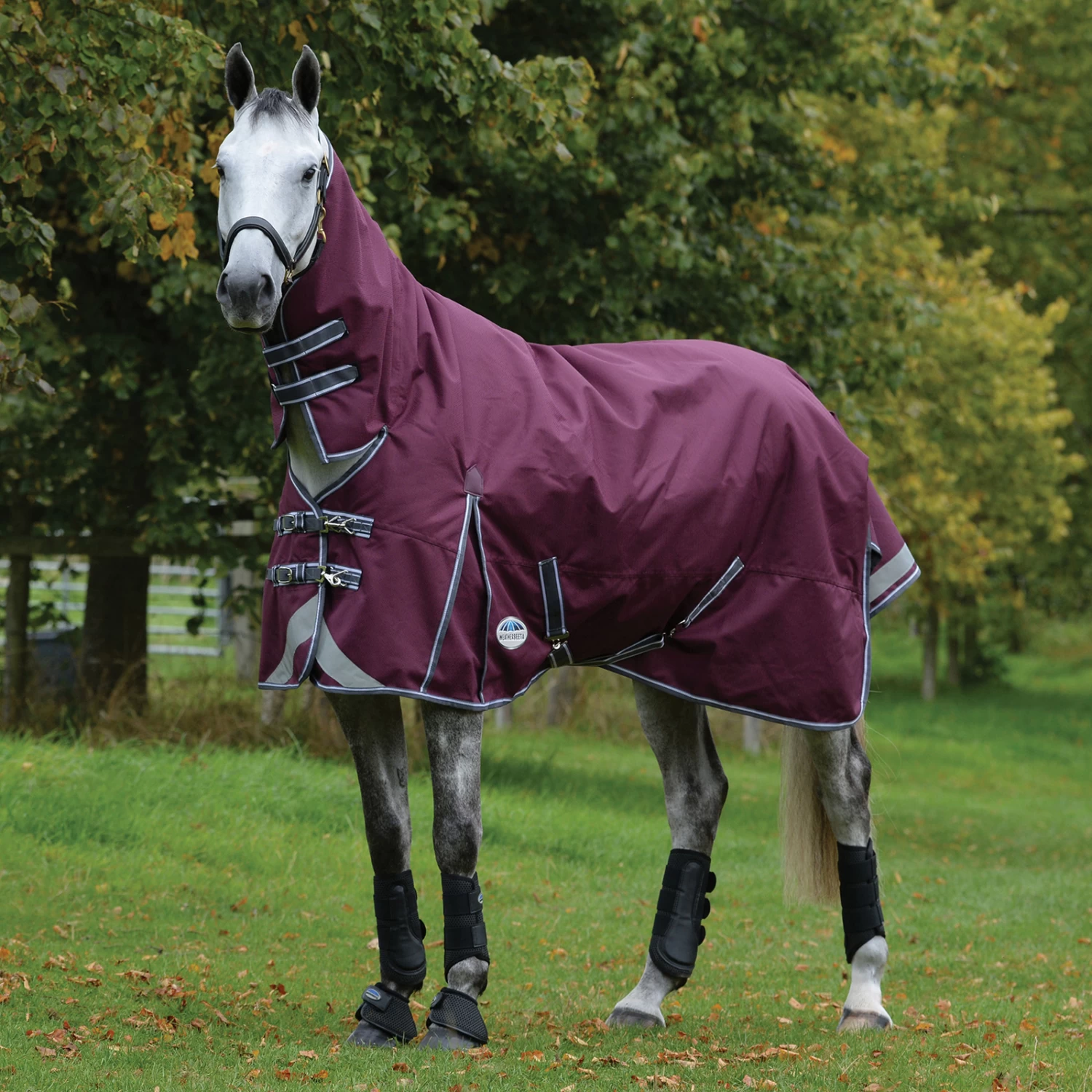 Weatherbeeta Comfitec Plus Dynamic II Combo Neck Turnout Rug, 100g - Image 2