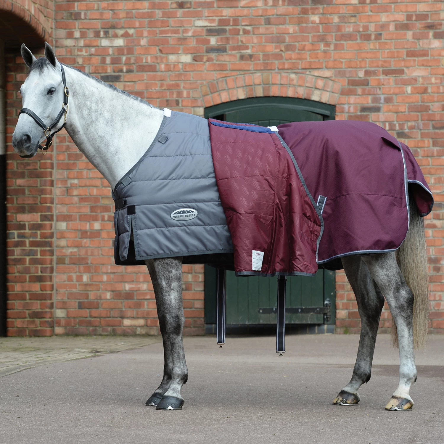 Weatherbeeta Comfitec Plus Dynamic II Combo Neck Turnout Rug, 100g - Image 3