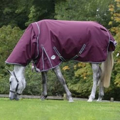 Weatherbeeta Comfitec Plus Dynamic II Detach-a-Neck Turnout Rug, 0g