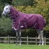 Weatherbeeta Comfitec Plus Dynamic II Detach-a-Neck Turnout Rug, 100g