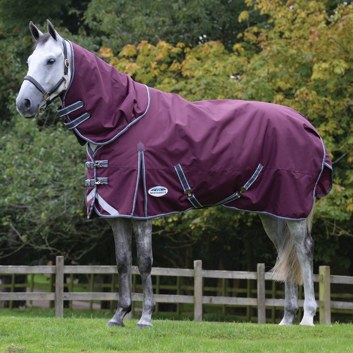 Weatherbeeta Comfitec Plus Dynamic II Detach-a-Neck Turnout Rug, 100g