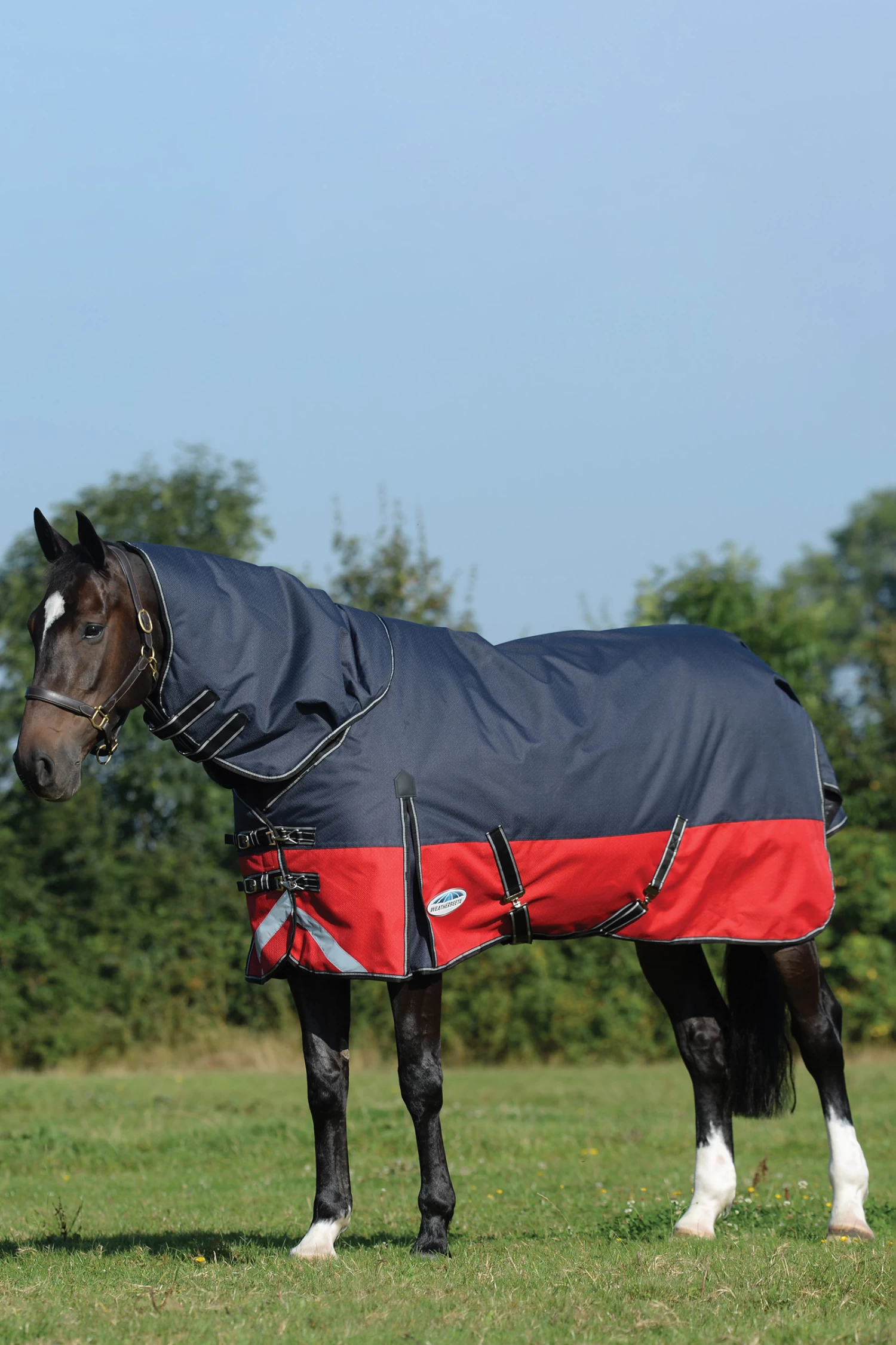 Weatherbeeta Comfitec Plus Dynamic II Detach-a-Neck Turnout Rug, 220g - Image 3