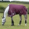Weatherbeeta Comfitec Plus Dynamic II Turnout Rug, 0g