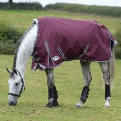 Weatherbeeta Comfitec Plus Dynamic II Turnout Rug, 0g