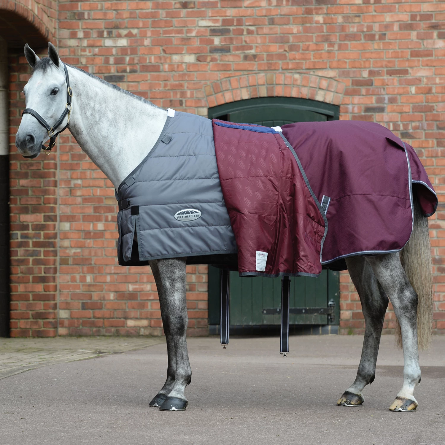 Weatherbeeta Comfitec Plus Dynamic II Turnout Rug, 0g - Image 2