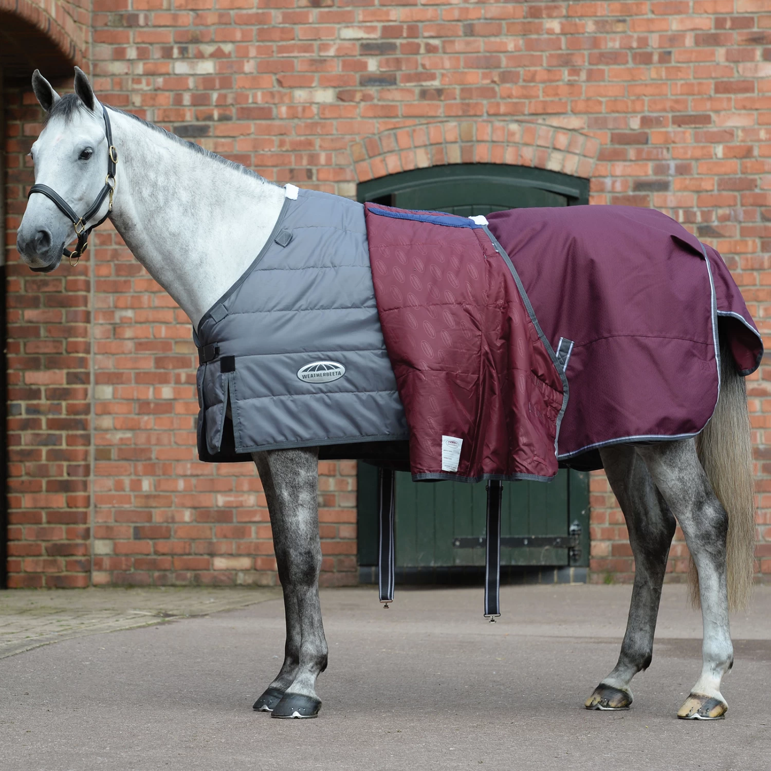 Weatherbeeta Comfitec Plus Dynamic II Turnout Rug, 100g - Image 2