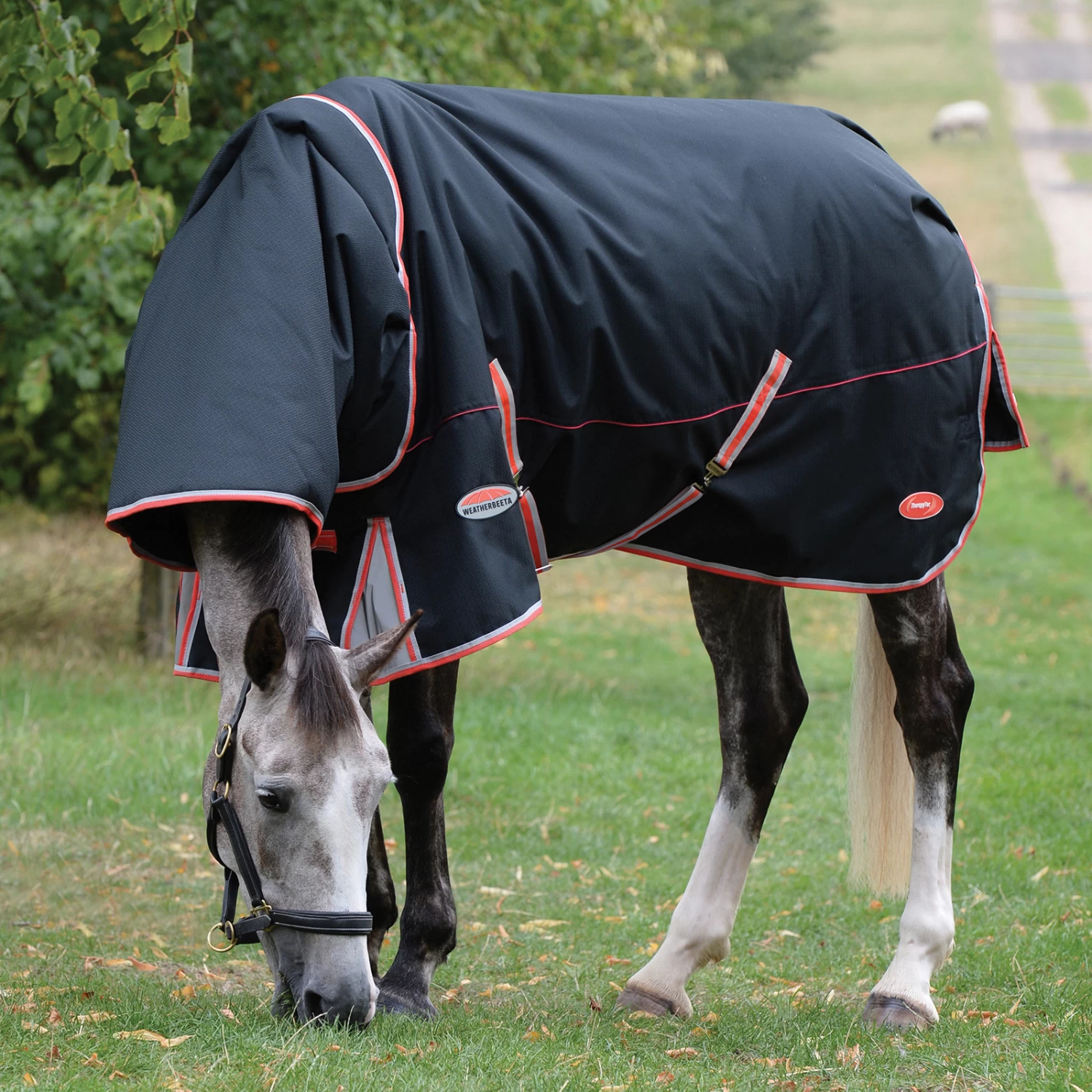 Weatherbeeta Comfitec Premier With Therapy-Tec Incl. Detachable Neck, 220g - Image 2