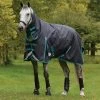 Weatherbeeta Comfitec Plus Dynamic II Combo Neck Turnout Rug, 220g