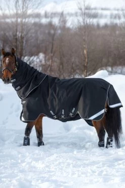 Horseware Amigo Super Bravo Plus Turnout Rug Incl. Detachable Hood, 250g
