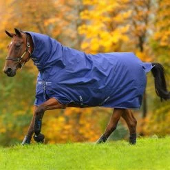 Horseware Amigo Hero 900 All-In-One Turnout Incl. Integrated Hood, 200g